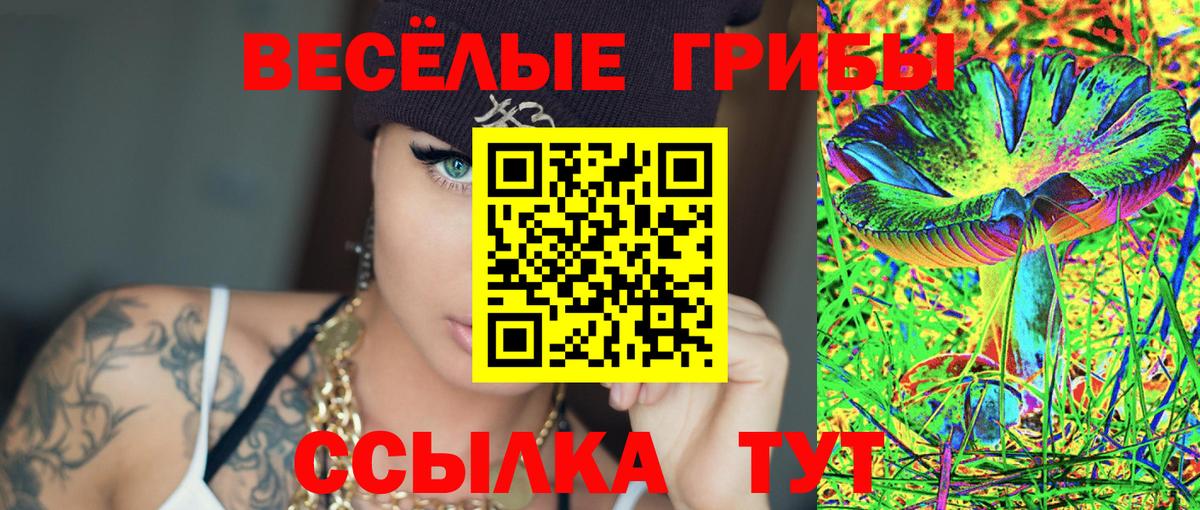 Псилоцибиновые грибы ЛСД  Вход с VPN  дарнет шоп  Нефтекумск 